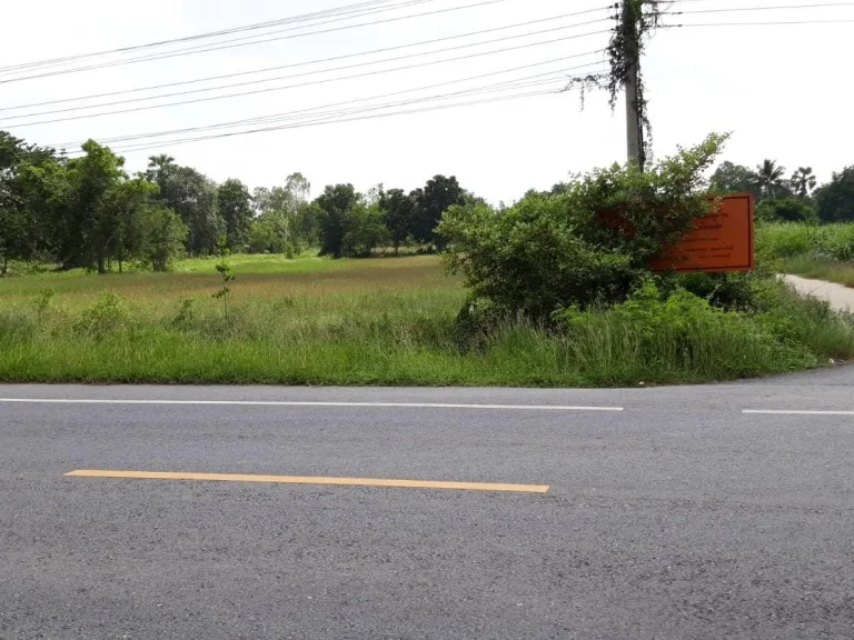 ที่ดินติดถนนดำจังหวัดสุพรรณบุรี 6ไร่ ขายแยกได้ ราคาคุยกันได้