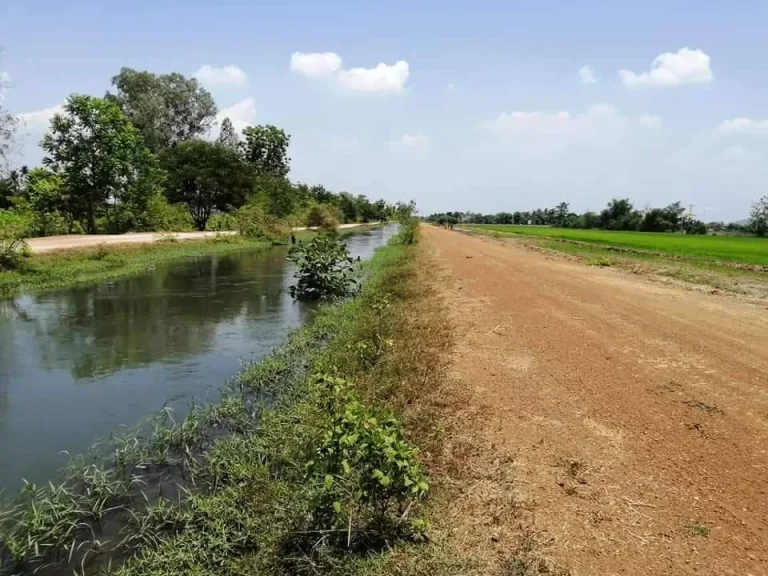 ที่ดินโฉนดด้านหน้าติดคลองชลเส้นครัวจตุรงค์ด้านขางติดถนนคอนกรีตเข้าออกสะดวกน้ำไฟพร้อม3ไร่ๆละ3แสน7ตเตาปูนอโพธารามราชบุรี