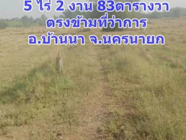 ด่วน ขายที่ดิน จนครนายก อบ้านนา ซอยโรงแรมดวงตะวัน ตรงข้ามที่ว่าการ 5 ไร่