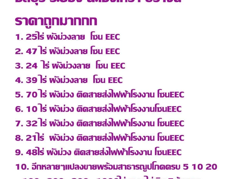 ขายที่ดินผังม่วงบางพลี ม่วงลาย โรงงานมือ2 รับจัดหาที่ดินขายที่ดินผังม่วงบางพลี บางเสงธง บางบ่อ ลาดกระบัง ชลบุรีระยองใกล้สนามบินสุวรรณภูมิ