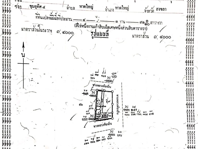 ขายที่ดิน 4 ไร่ หลังโรงเรียนปาดังติณสูลานนท์