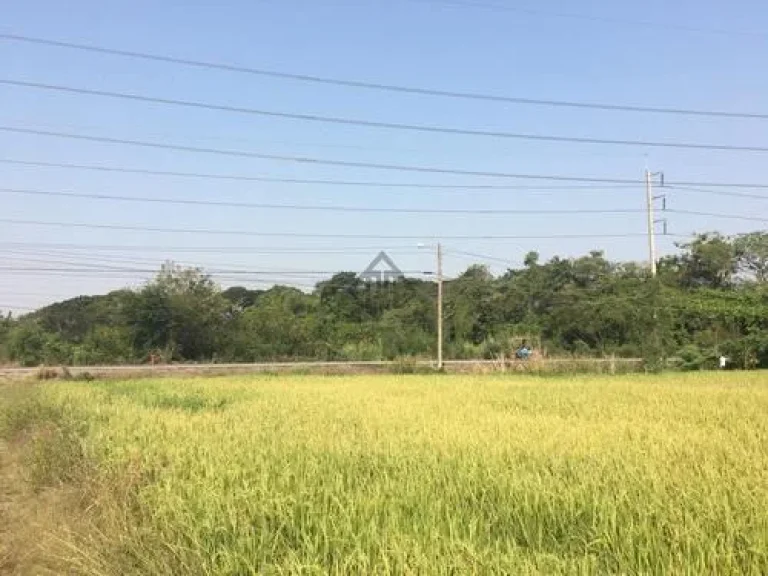 ขาย ที่ดิน หนองจอก 20 ไร่ ทำเลดี ติดถนนใหญ่