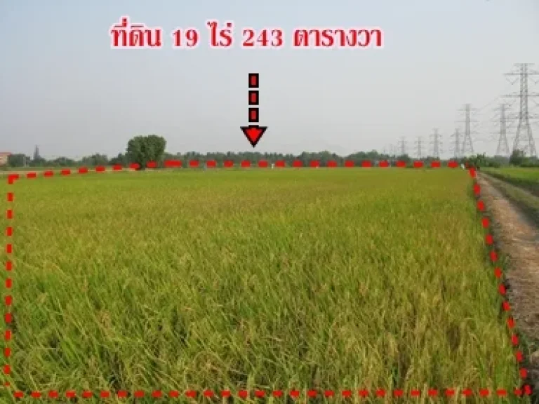 ขายที่ดินถนนนิมิตรใหม่ ซอยวัดสุใจ ที่ดิน 19 ไร่ ขายไร่ละ 45 แสนบาท