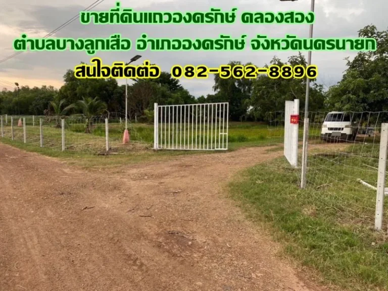 ขายที่ดินแถวองครักษ์ คลองสอง ตำบลบางลูกเสือ อำเภอองครักษ์