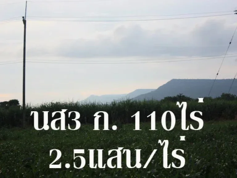 ขายที่ดินปากช่อง 110 ไร่ ตคลองม่วง วิวสวย ใกล้ชุมชนเหมาะสำหรับจัดสรร