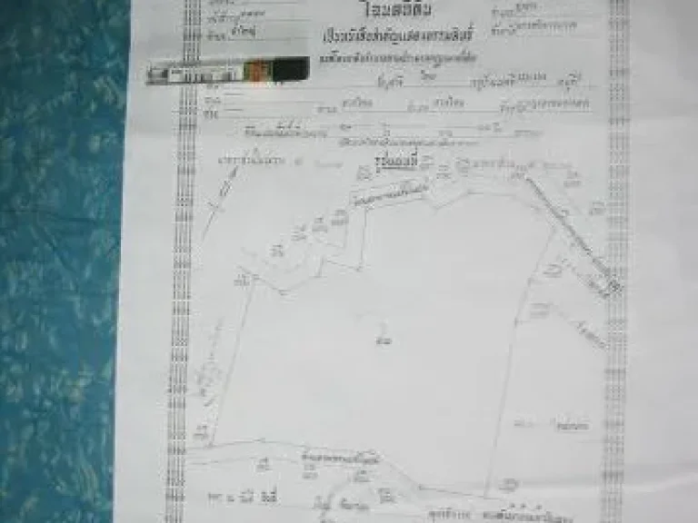 ขายที่ดินหน้าเกษตรใสใหญ่ ที่ดินเป็นโฉนด ติดถนนดำติดถนนสามสาย ถนนเอเชีย ถนนรถไฟ ถนนเพชรเกษม มีอยู่แปลงเดียวเท่านั้นที่ติดถนนสามสาย 28 ไร่ 38 ตารางวา ไร่ละหนึ่งล้านห้าแสนบาท ใกล้อุทยานน้ำตกโยง ใกล้ตลาดใสใหญ่ สถานีรถไฟใสใหญ่ โรงเรียนทุ่งสง ค่ายศรี