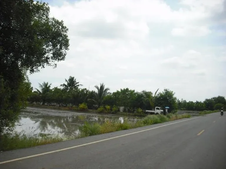 ขายที่ดิน แปดริ้ว ซอยวัดหนามแดง บางปลานัก ใกล้ อบต หนามแดง 47 ไร่