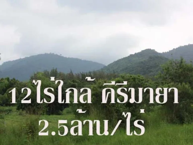 Kha078 ขายที่ดินเขาใหญ่ ด้านหลังคีรีมายา 12 ไร่ เหมาะกับบ้านพักต่างอากาศ หรือ ทำรีสอร์ท อากาศดี เดินทางสะดวก