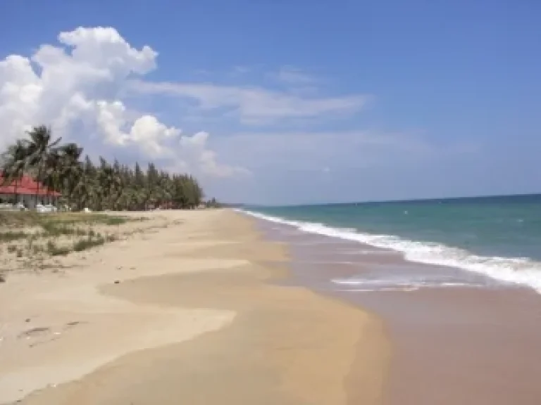 ขายที่ดินติดทะเลหาดส่วนตัวห้วยยาง หาดสุรินทร์ ติดหมู่บ้านออร์คิด ประจวบ 129 ไร่กว่าๆไร่ละ 15ล้านบาทสามารถต่อรองราคากับเจ้าของได้