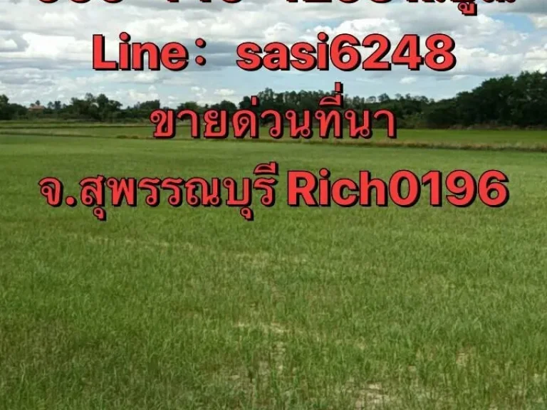 ขายด่วนที่ดิน ที่นา 2 แปลงติดกัน จสุพรรณบุรี ห่างจาก อดอนเจดีย์ เพียง2 กมRich 0196