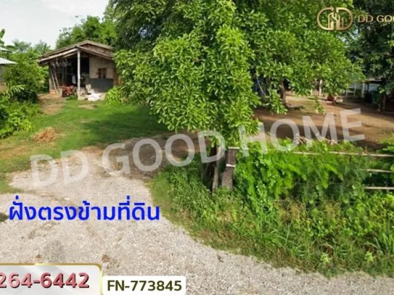 ที่ดินเมืองพิษณุโลก 3 ไร่ 1836 ตรว ใกล้ อบตวังน้ำคู้