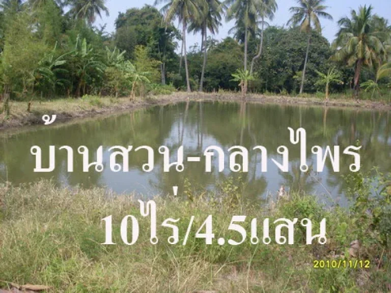 PCH053 ขายที่ดินโฉนด 10 ไร่ บ้านสวนกลางไพร มีบ่อน้ำ