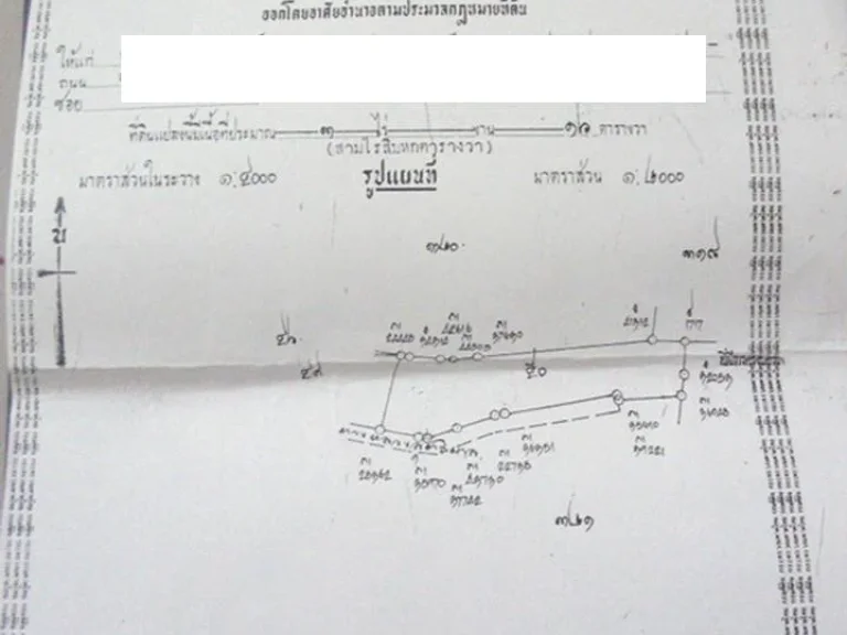 ขายที่ดิน3ไร่กว่า1ล้านบาทตสว่างอารมณ์อดอกคำใต้เขตเทศบาลจพะเยา