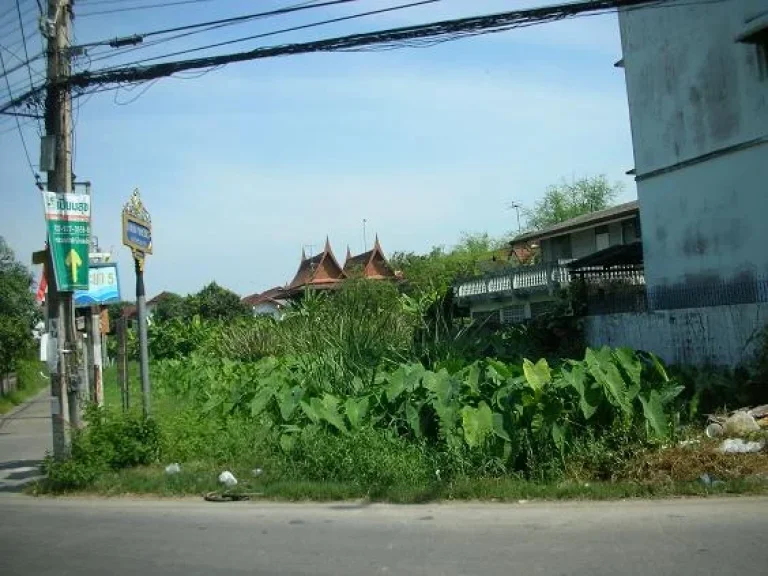 ขายที่ดิน ติดวัดสวนแก้ว ใกล้รถไฟฟ้าสายสีม่วง บางใหญ่