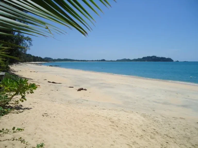 ขายด่วน ที่ดินริมหาดพร้อมรีสอร์ทบนเกาะพยาม จระนอง