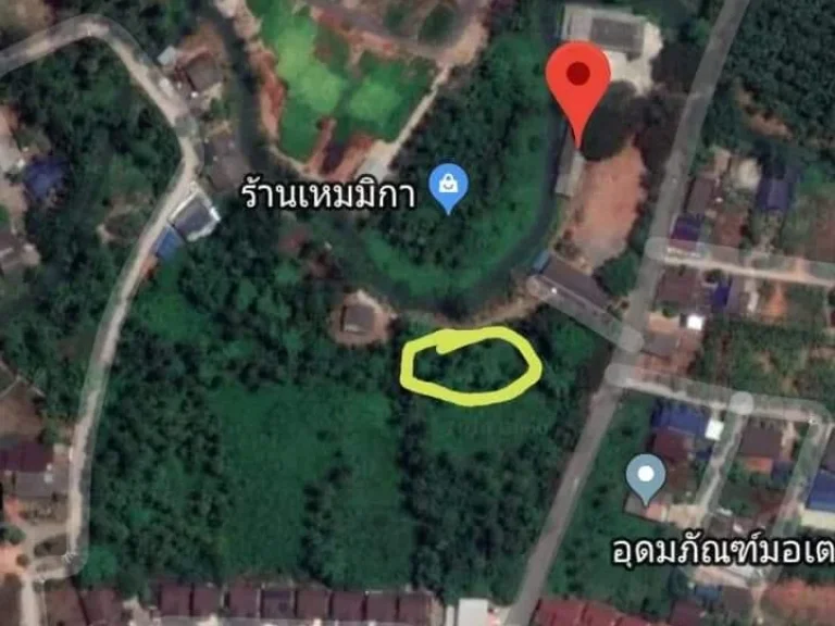 ขายที่214ตรว ติดคลอง ในเมืองสุราษ