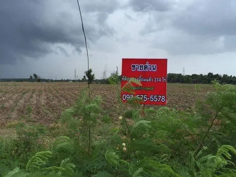 ที่ดินเปล่า 314 ไร่ ถมแล้ว ติดถนนสุขุมวิท ตรงข้ามสวนสมุนไพรสมเด็จพระเทพรัตนราชสุดา จระยอง ขาย 6500000 บาทไร่