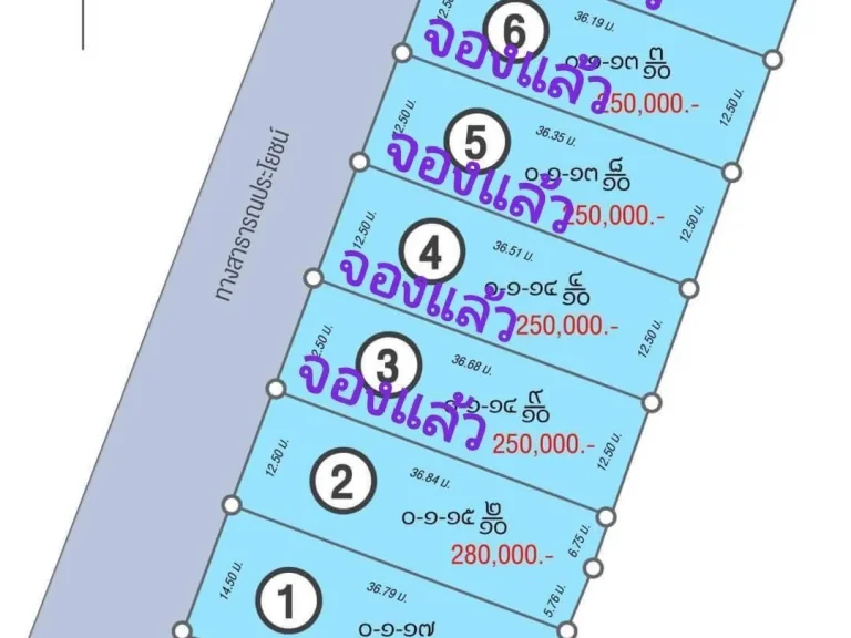 เพียง 280000 เหลือ 2 แปลงสุดท้าย ที่ดินแบ่งล๊อคบ้านขี้เหล็ก