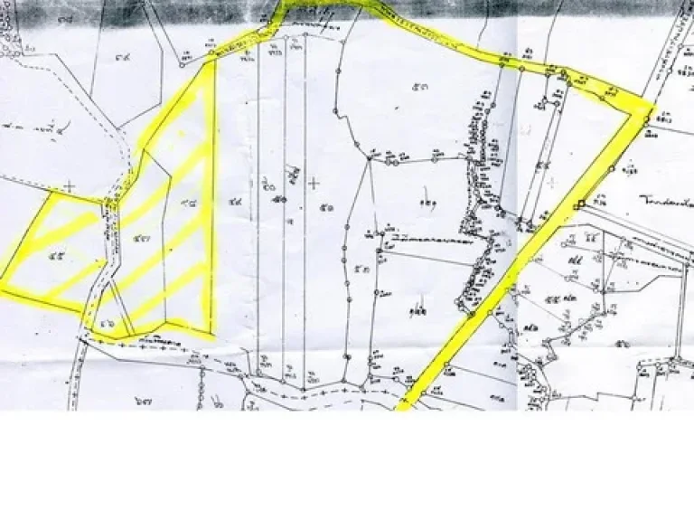 Sek030ขายที่ดินโฉนด 58ไร่ราคาถูก55000 ตกุดน้อย อสีคิ้ว