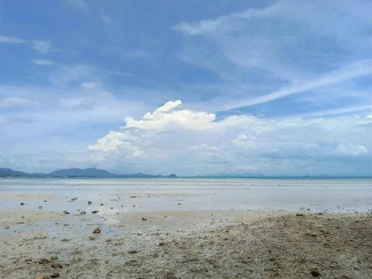 ขายที่ดิน13ไรติดทะเลชายหาด เกาะสมุย