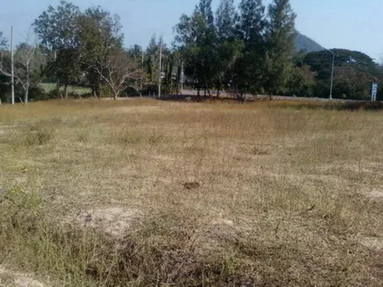 ขอเสนอขายที่ดินใกล้ทะเลหาดปราณบุรีคมนาคมสะดวกนำไฟมีพร้อม