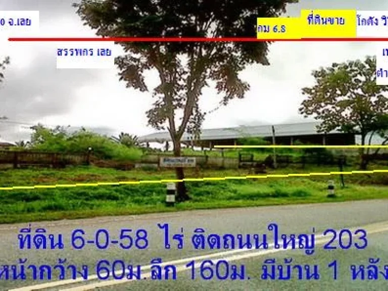 ขายที่ดิน ติดถนนใหญ่ 203 เลย-ภูเรือ