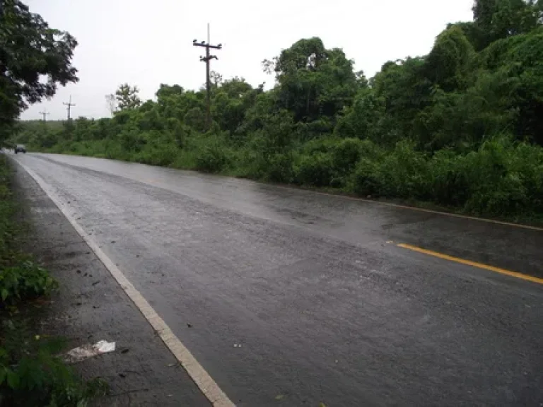 ขายที่ดินสวนมะขาม มะม่วง 132 ไร่ นส3 ติดถนนลาดยาง อเมืองเพชรบูรณ์