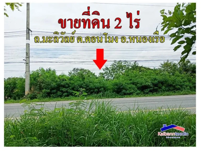 ขายที่ดิน 2 ไร่ ติดถนนมะลิวัลย์ ตำบลดอนโมง อำเภอหนองเรือ จังหวัดขอนแก่น