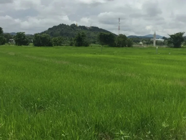 ขายที่ดินลวงเหนือดอยสะเก็ต ขายยกแปลง เชียงใหม่