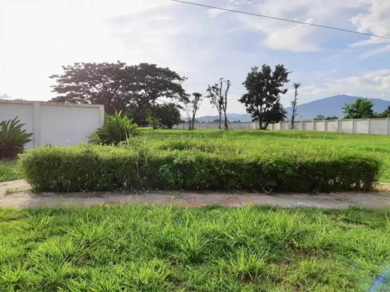 ขายที่ดินในโครงการกุลพันธ์วิลล์ 9หางดงเชียงใหม่