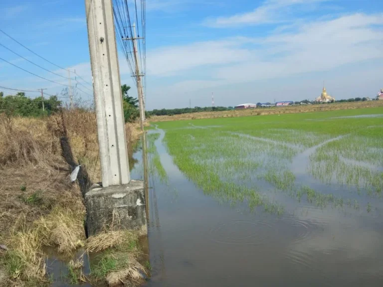 ขายที่ดิน 34-2-76 ไร่ ติดถนนบางน้ำเปรี้ยว-ฉะเชิงเทรา ใกล้จุดเชื่อมต่อสถานีรถไฟฟ้าไฮสปีดเทรน