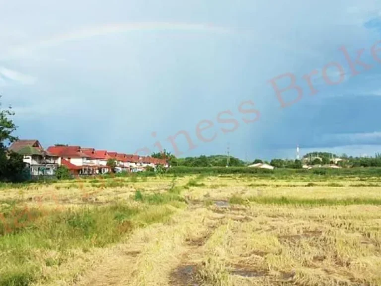 ขายที่ดินขนาดใหญ่ ที่ในเมืองเชียงราย