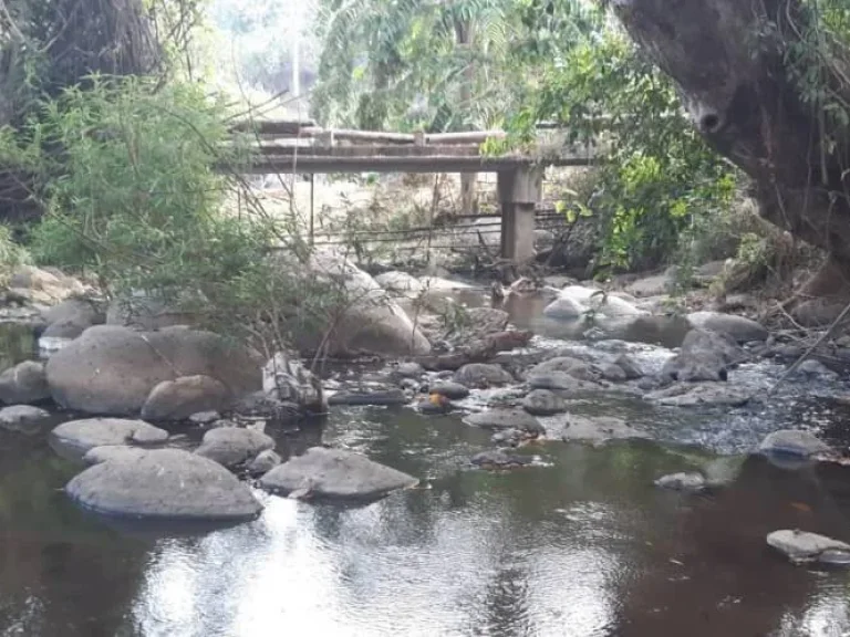 ขายที่ดินวิวดอย ติดธารน้ำ ห่างถนนหลัก 150 เมตร บ้านปงหางดงเชียงใหม่