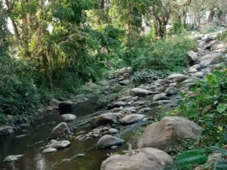 ขายที่ดินวิวดอย ติดธารน้ำ ห่างถนนหลัก 150 เมตร บ้านปงหางดงเชียงใหม่