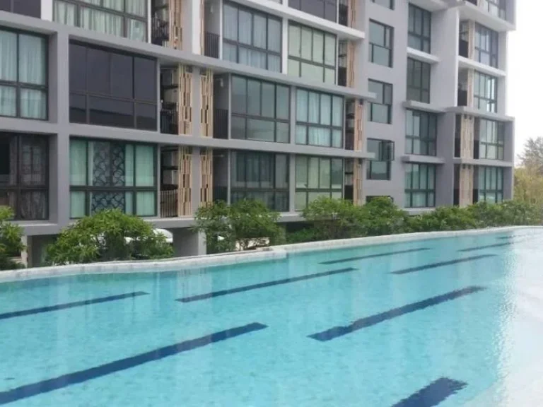 ขายThe connext condo พร้อมเฟอร์นิเจอร์ ทำเลใจกลางเมืองภูเก็ต