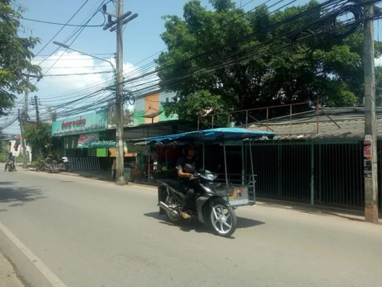 ขาย ที่ดิน ถลูกเสือ ตมะขามเตี้ย อเมือง จสุราษฎร์ธานี