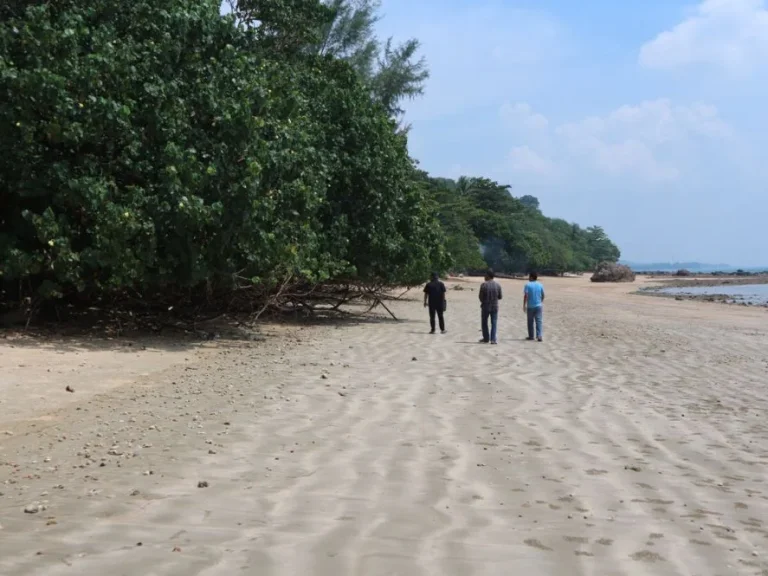 ที่ดินบนเกาะปู ติดหาดส่วนตัว กระบี่ 10 ไร่ๆ ละ 35 ล้านเท่านั้น