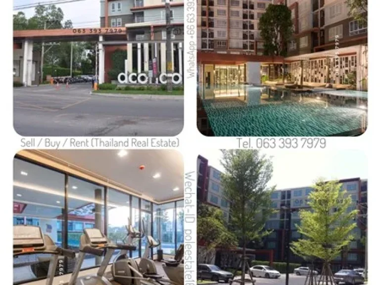 ขาย ดีดอนโด กะทู้-ป่าตอง ภูเก็ต rentsale dcondo kathu-patong phuket 063 393 7979