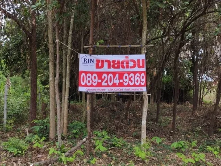 ขายที่ดินเปล่า ทำเลทอง 184 ตรว ถนนสุขุมวิท บางเสร่ สัตหีบ 089 204 9369 นก