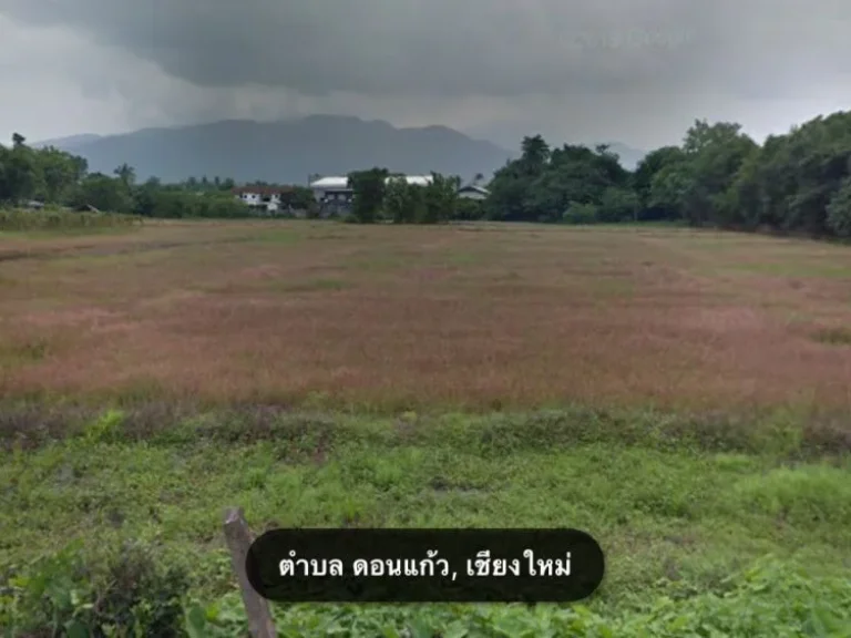 ขายที่ดินดอนแก้ว พื้นที่สีเหลือง แม่ริม เชียงใหม่