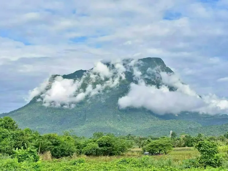 ขายที่ดินวิวหมอกภูเขา เมืองงาย เชียงดาวเชียงใหม่