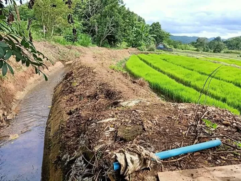 ขายที่ดินขั้นบรรได สะเมิงเหนือ วิวสวย เชียงใหม่