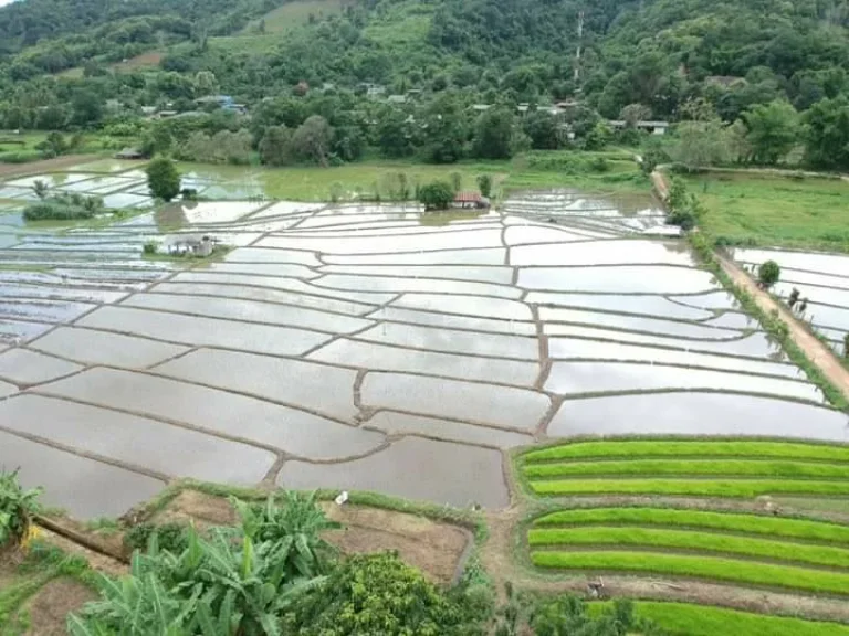 ขายที่ดินขั้นบรรได สะเมิงเหนือ วิวสวย เชียงใหม่