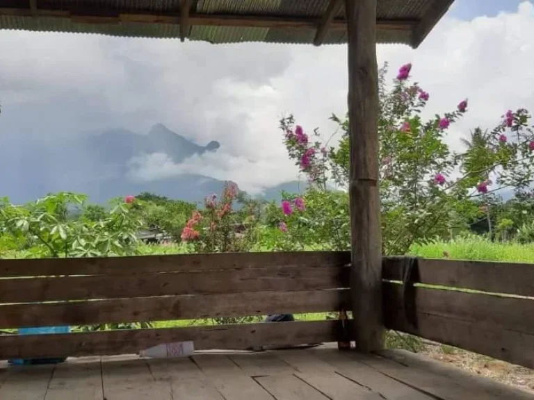 ขายที่ดินวิวสวย เชียงดาว ติดวิวภูเขาดอยหลวง เชียงดาวเชียงใหม่