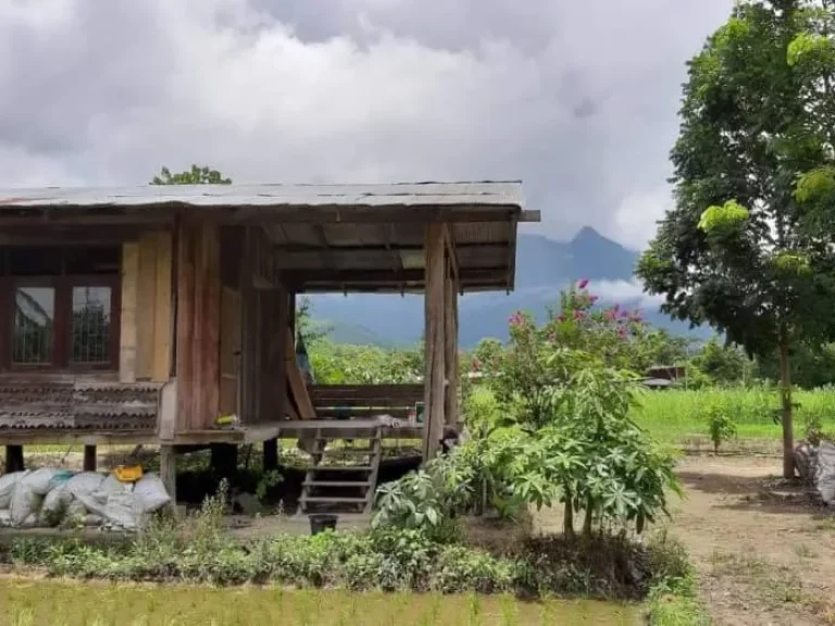 ขายที่ดินวิวสวย เชียงดาว ติดวิวภูเขาดอยหลวง เชียงดาวเชียงใหม่