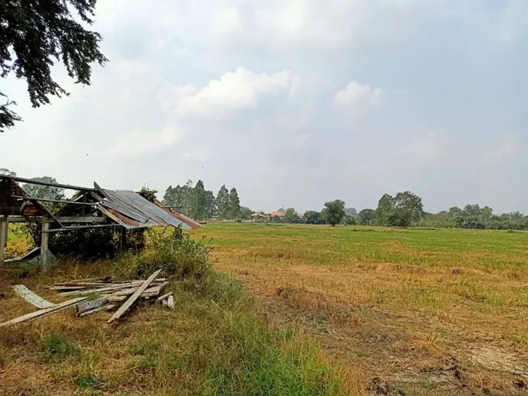 ขายที่ดิน 33 ไร่ 148 ตรว ทำเลดีสุดๆ ขายถูก อำเภอเสาไห้ จังหวัดสระบุรี