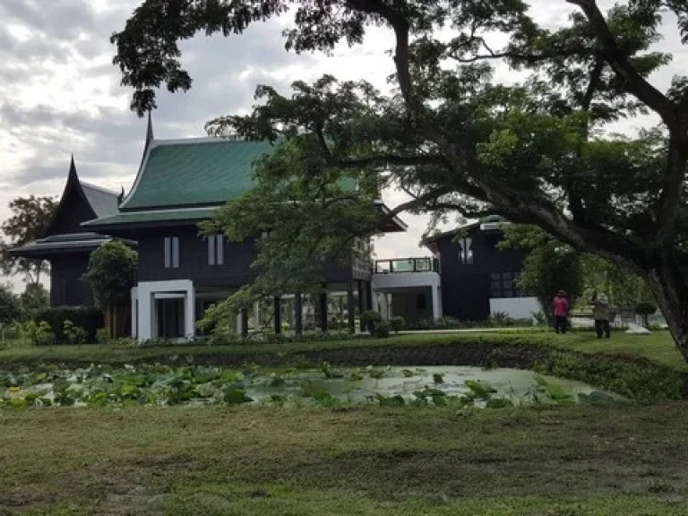 ขายที่ดินสุวินทวงศ์ติดน้ำติดคลอง กรุงเทพ สวยสำหรับบ้านพักสวนเกษตร โกดัง คลังสินค้า โฮมสเตย์