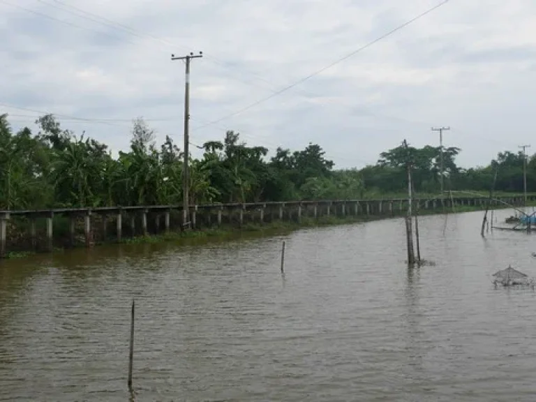 ขายที่ดินสุวินทวงศ์ติดน้ำติดคลอง กรุงเทพ สวยสำหรับบ้านพักสวนเกษตร โกดัง คลังสินค้า โฮมสเตย์