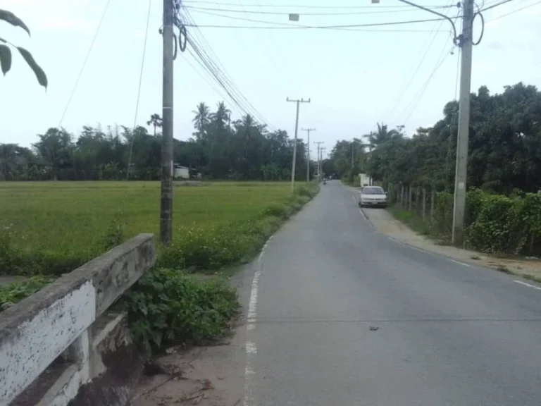 ขายที่ดินติดถนนคอนกรีต บ้านแม สันป่าตองเชียงใหม่