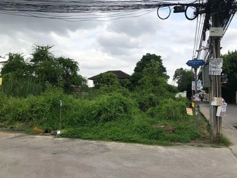 Land For Sale ที่ดิน 1 ไร่ สุขาภิบาล5 ใกล้ห้าแยกวัชรพล